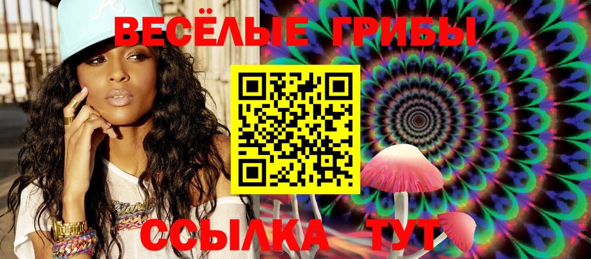 Биробиджан  Псилоцибиновые грибы Cubensis  наркотики  Вход с VPN 