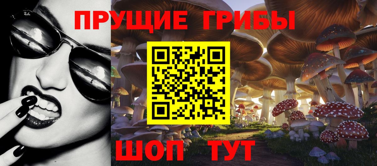 Галлюциногенные грибы Psilocybe Биробиджан